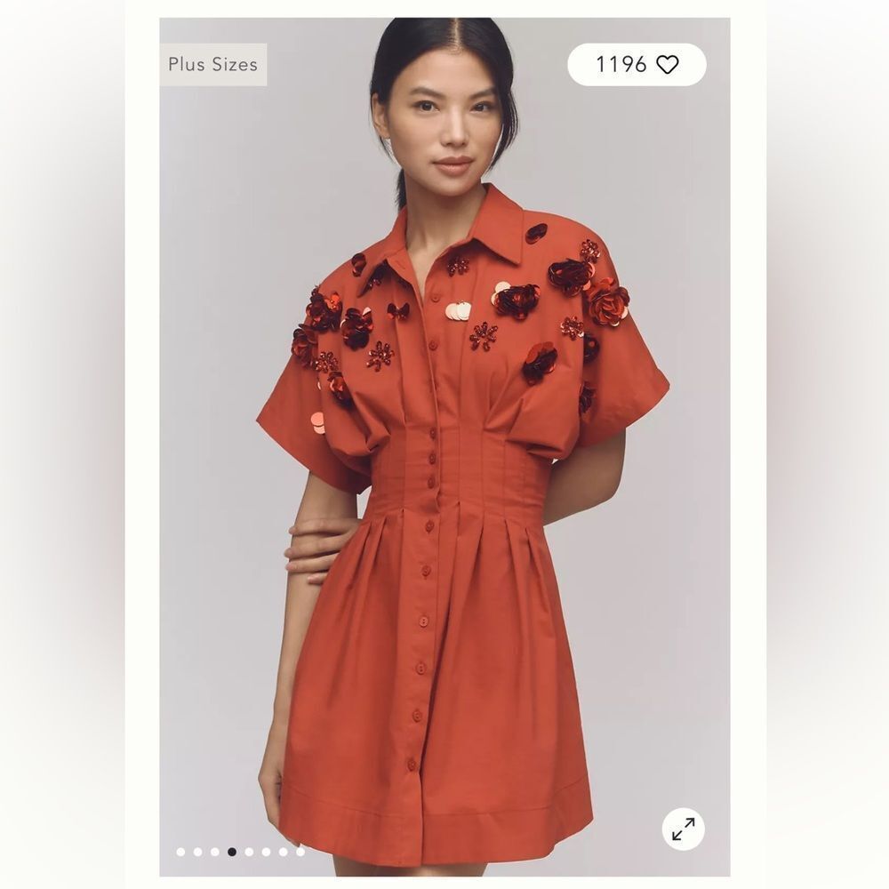 Anthropologie EXQUISE The Tobie Button-Front Pleated Shirt Dress